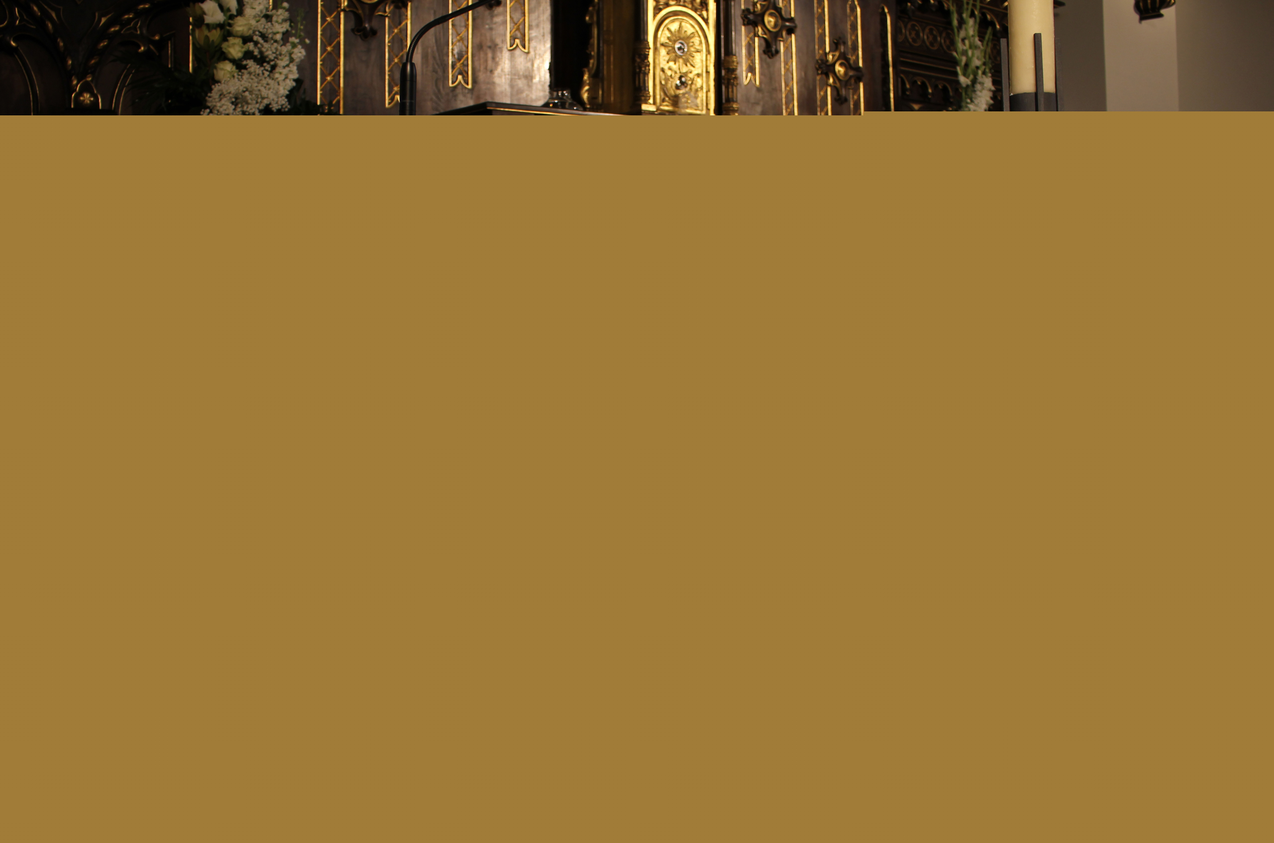 Igreja Matriz Antiga 32