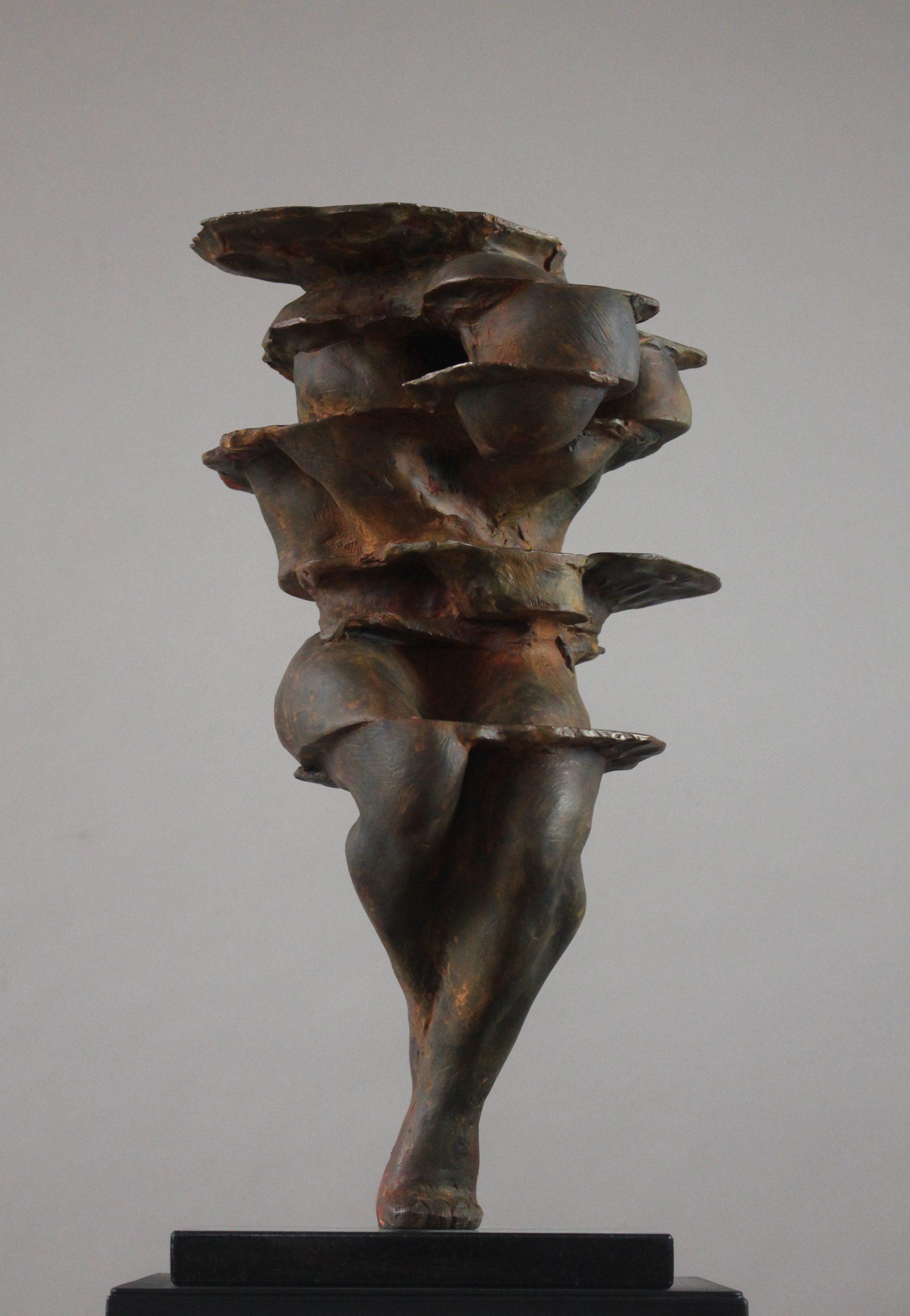 "Erosão" | 44x24x25 cm | Bronze