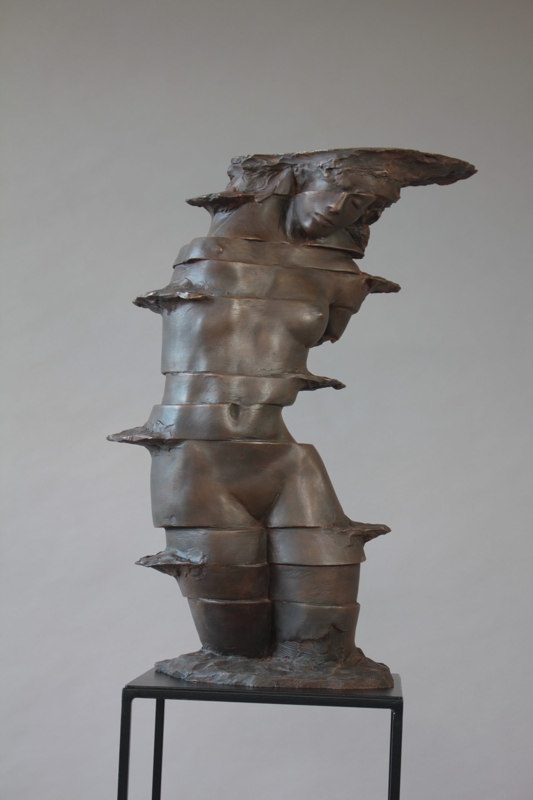 "Miragem" | 60x43x22 cm | Bronze
